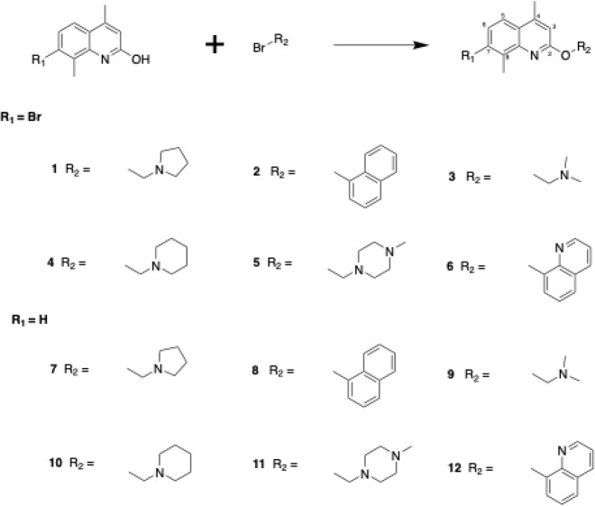 Scheme 1