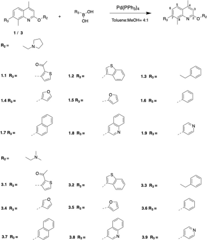 Scheme 2
