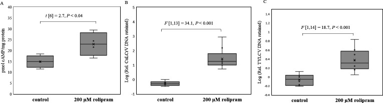 Fig 5