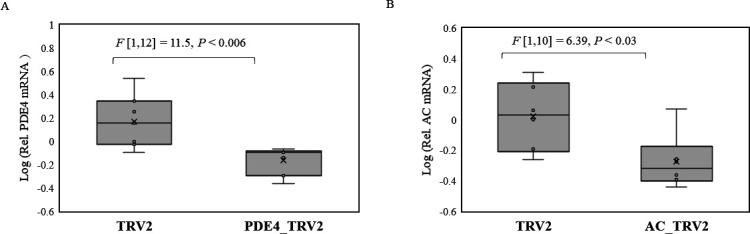Fig 7