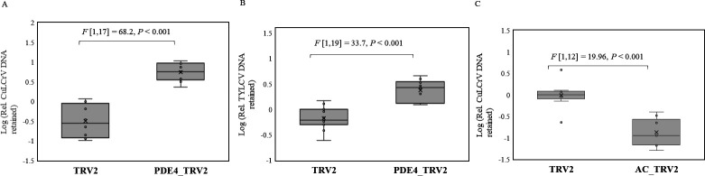 Fig 8