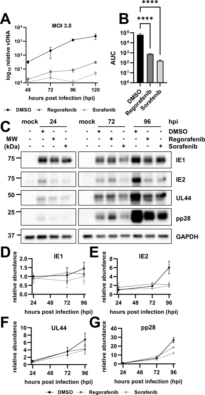 Fig 5
