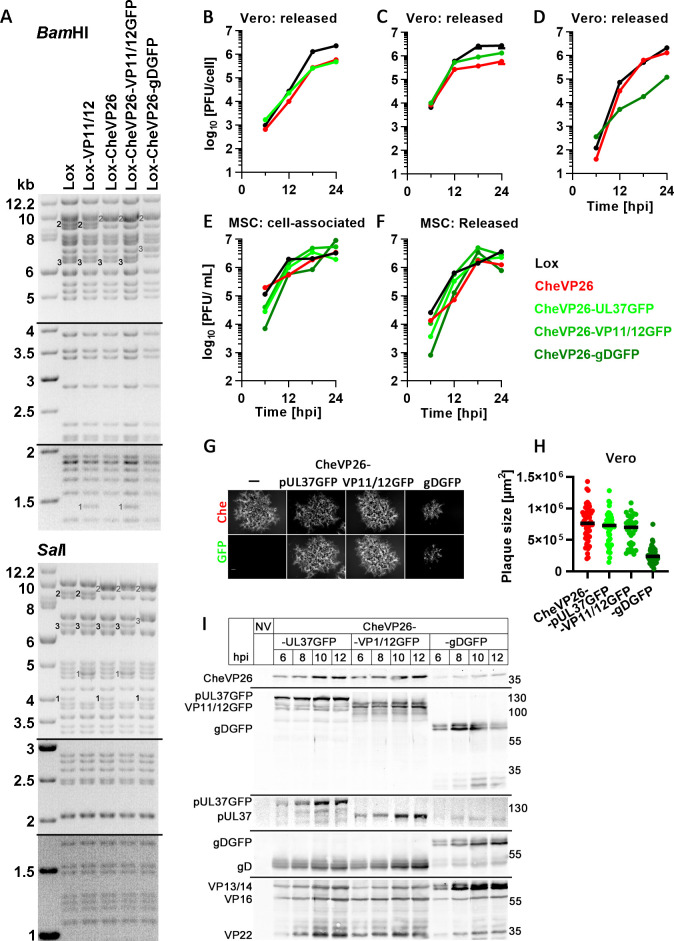 Fig 6