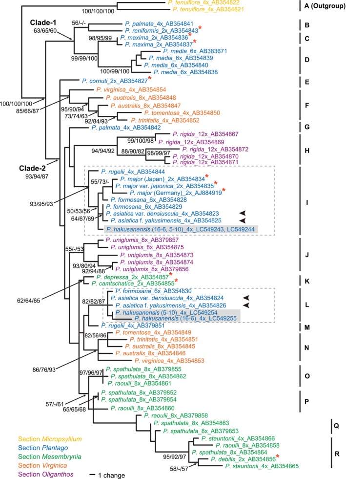 FIGURE 3