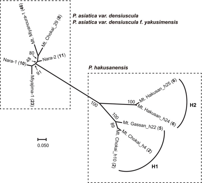 FIGURE 6