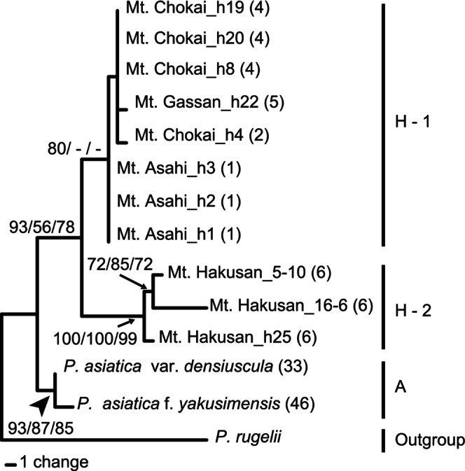 FIGURE 4