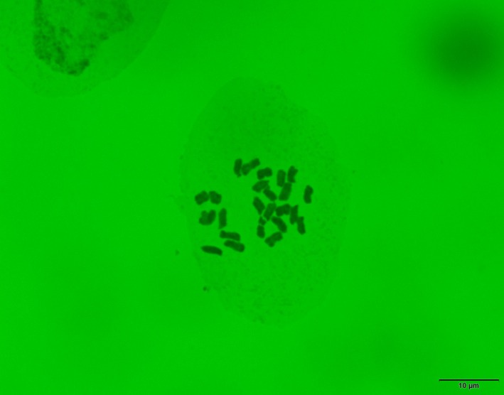 FIGURE 2