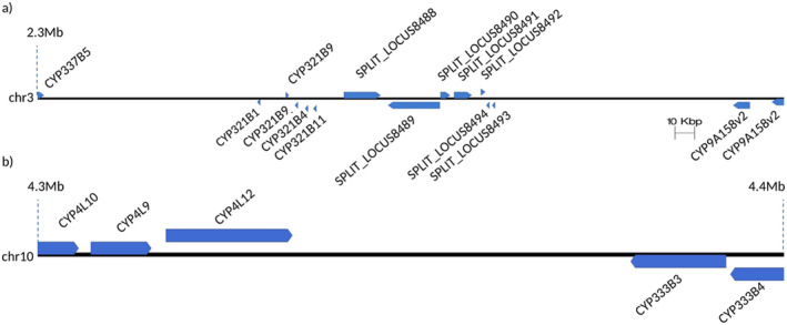FIGURE 7