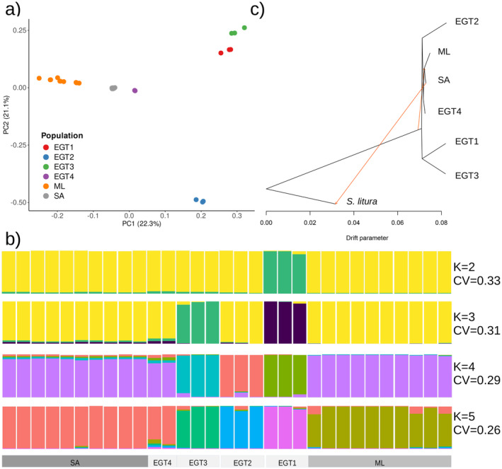 FIGURE 2