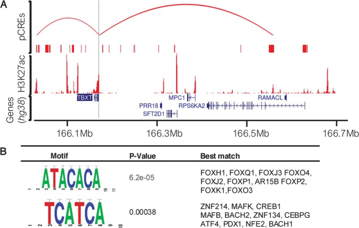 FIGURE 3
