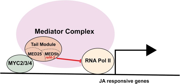 Fig. 8