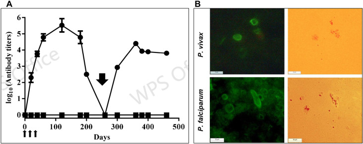 Fig 3