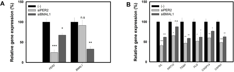 Fig 5