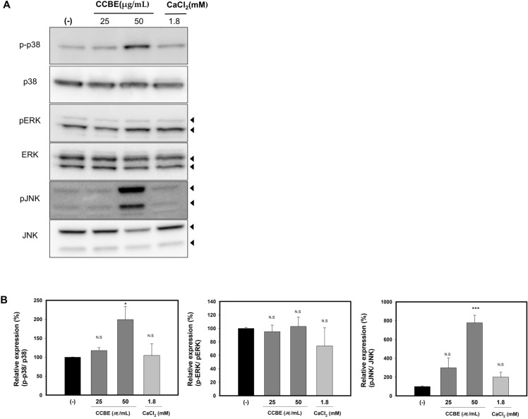 Fig 7