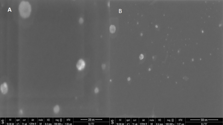 Fig 5