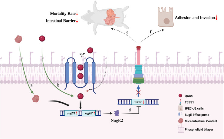 Fig 9