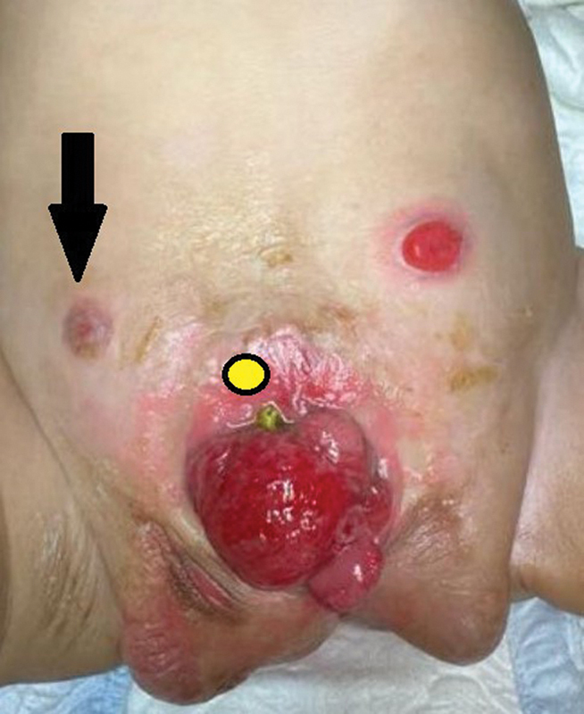 Fig. 1