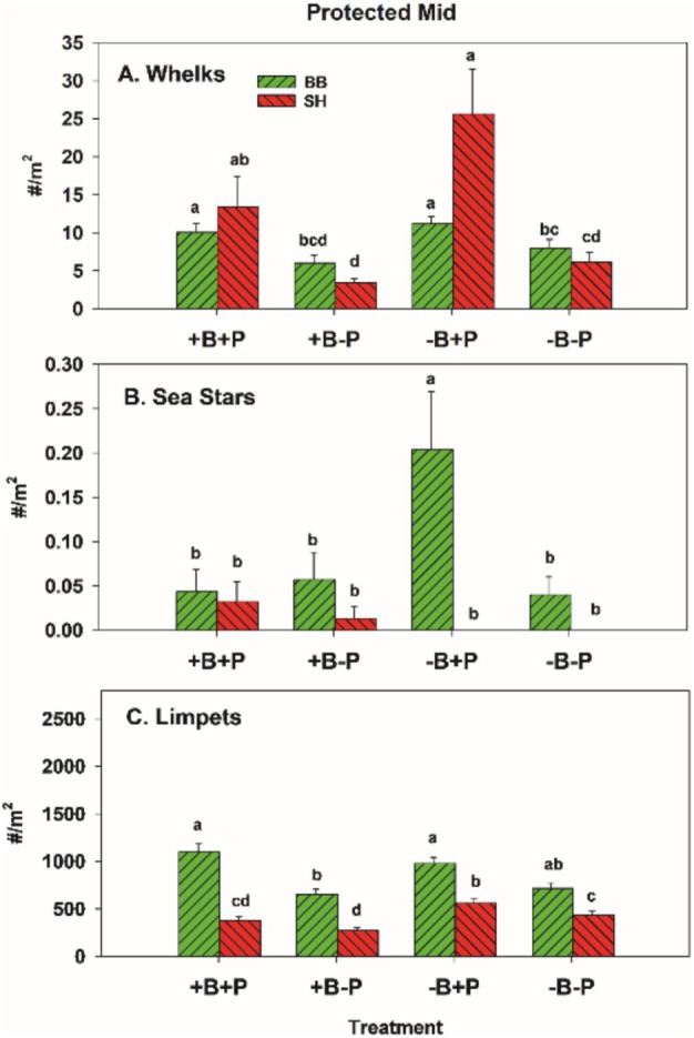 FIGURE 20