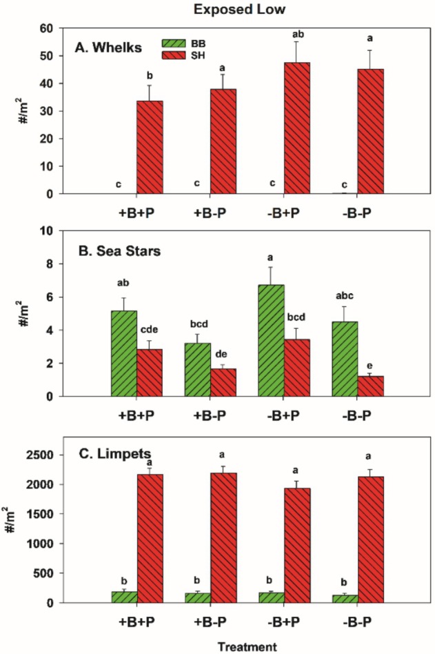 FIGURE 17