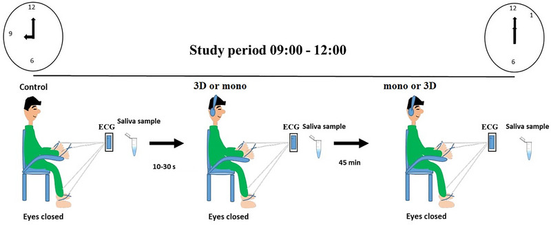 FIGURE 1
