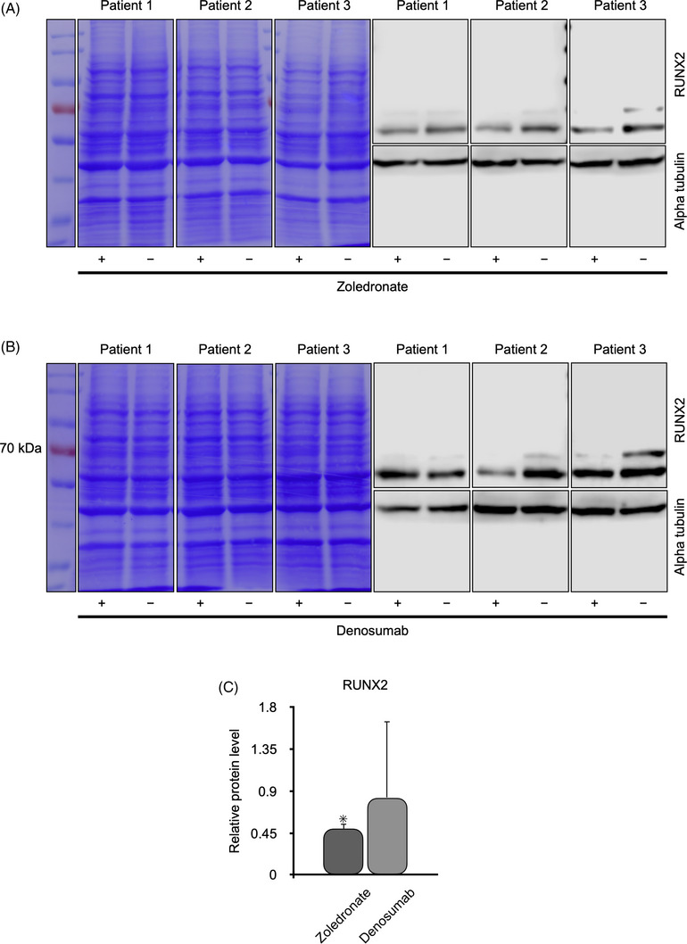 FIGURE 4