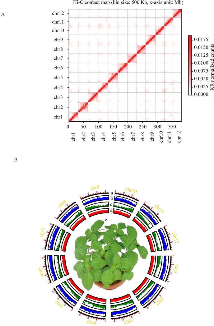 Figure 1