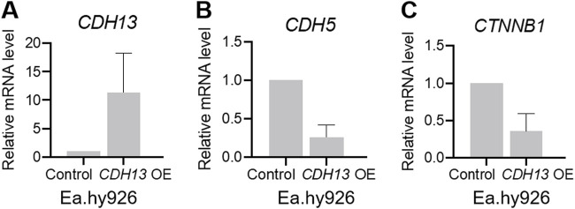 FIGURE 3