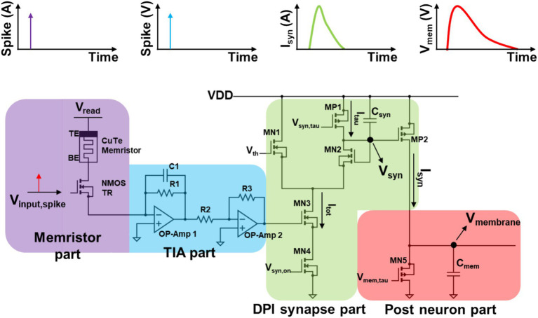 Figure 6