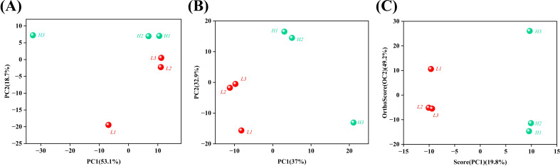 Figure 5