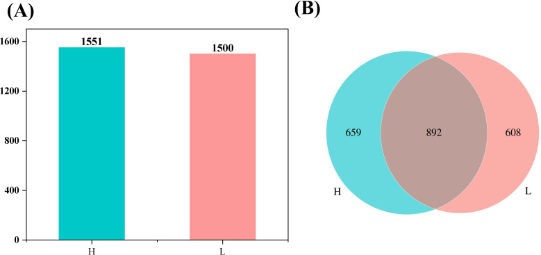 Figure 6
