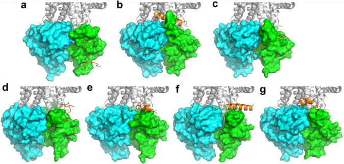 Figure 9
