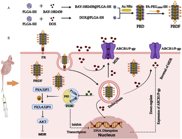 FIGURE 2