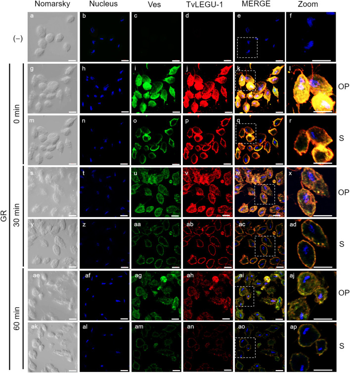 Figure 3