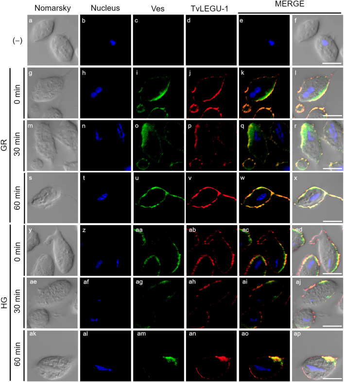 Figure 9