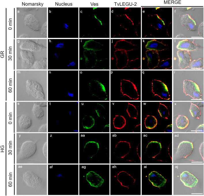 Figure 10