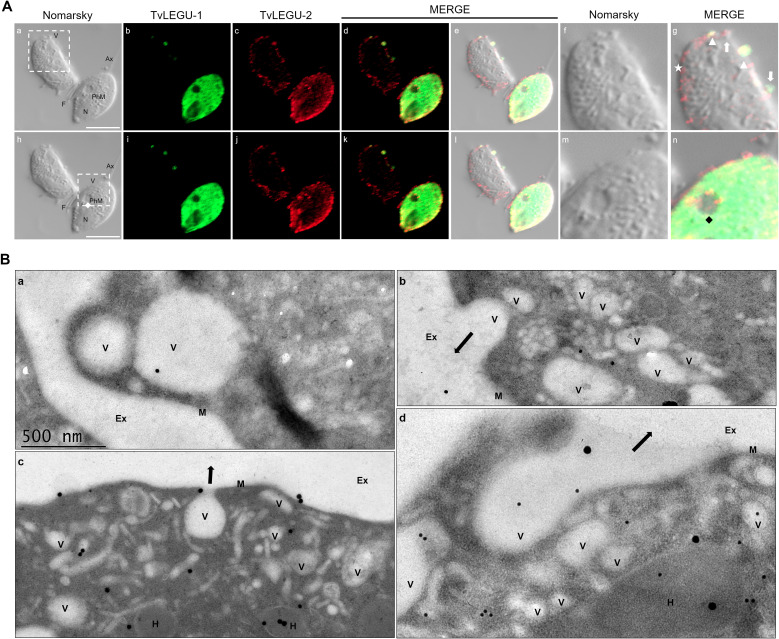 Figure 14