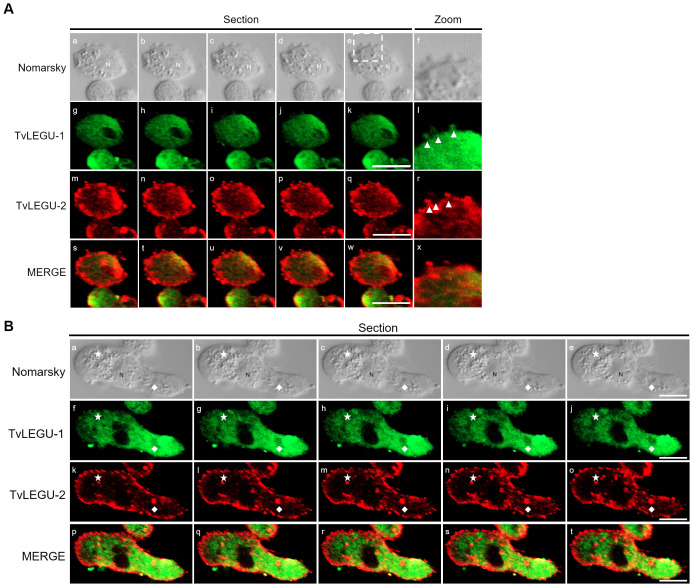 Figure 15