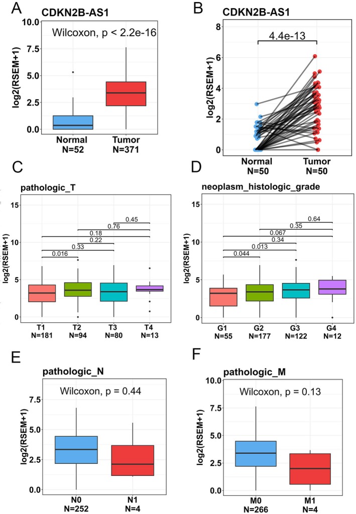 FIGURE 2