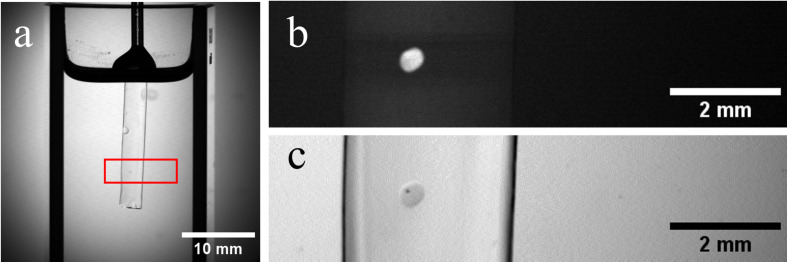 Fig 8