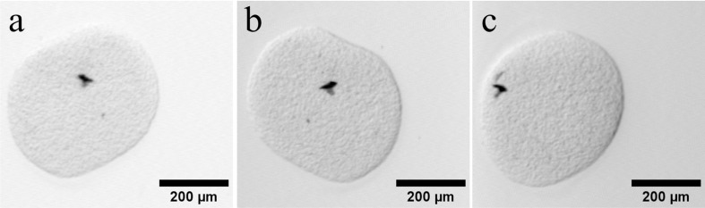 Fig 10