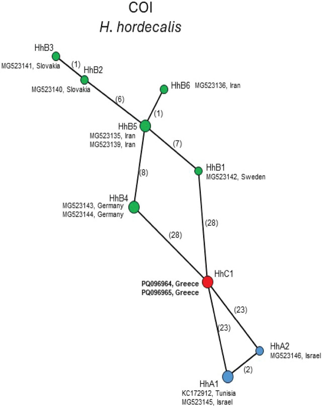 Figure 6