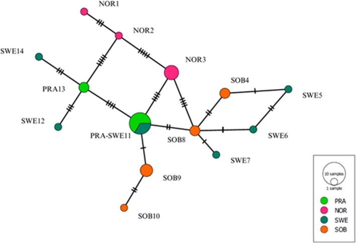 FIGURE 6