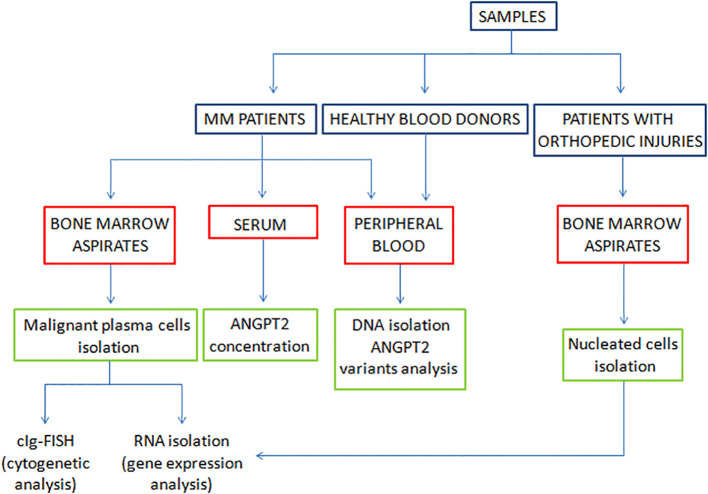 Figure 1