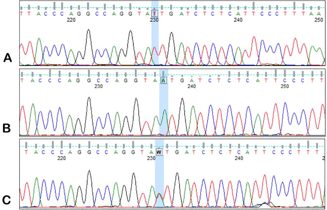 Figure 2