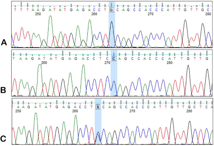 Figure 3