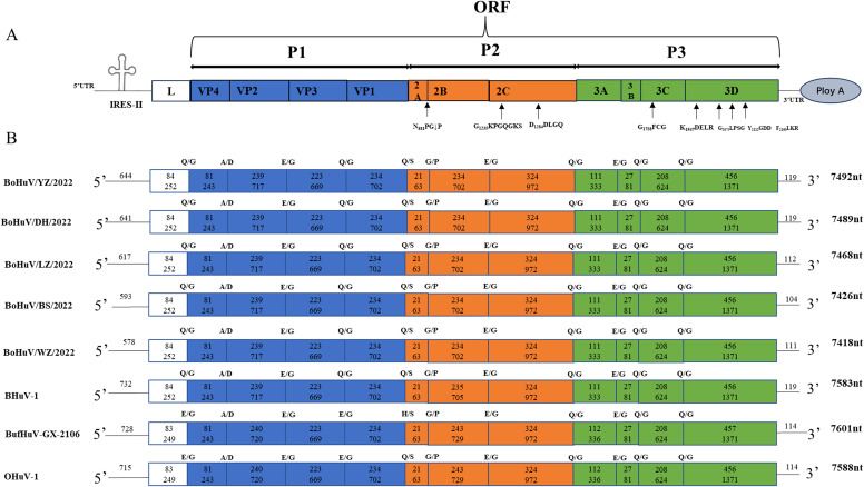 Figure 2