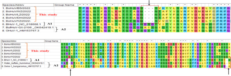 Figure 3