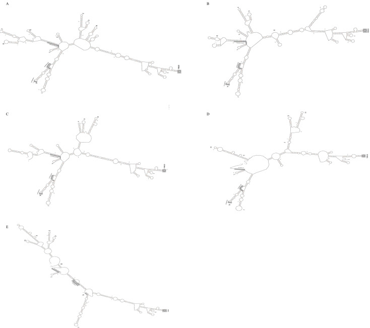 Figure 6