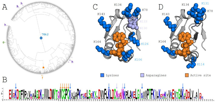 Figure 2