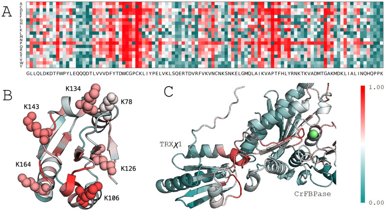 Figure 3
